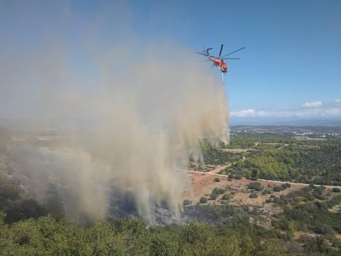 purkagia_2022_9_avlona